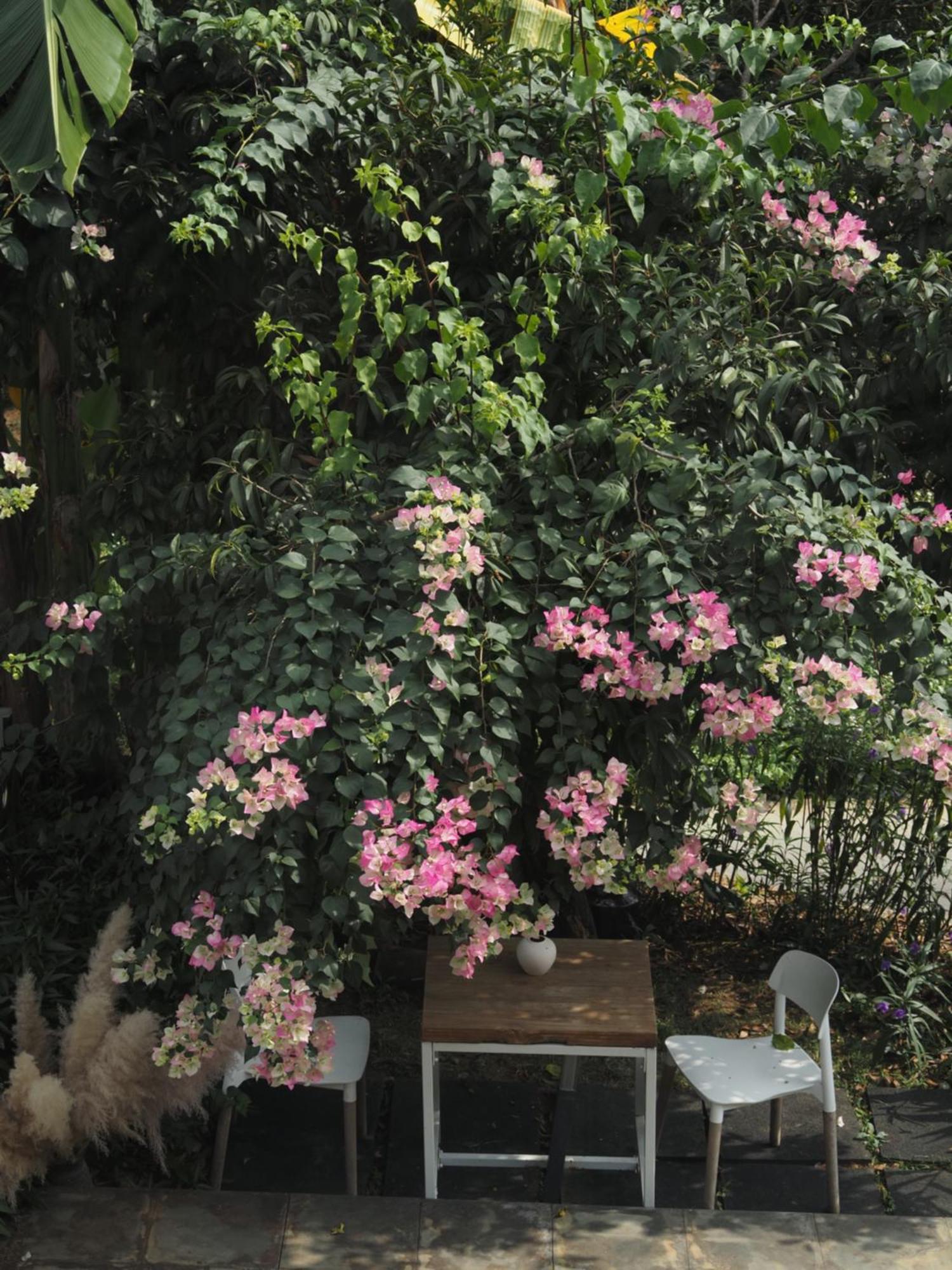 Yangshuo Hillside Homestay Exteriér fotografie