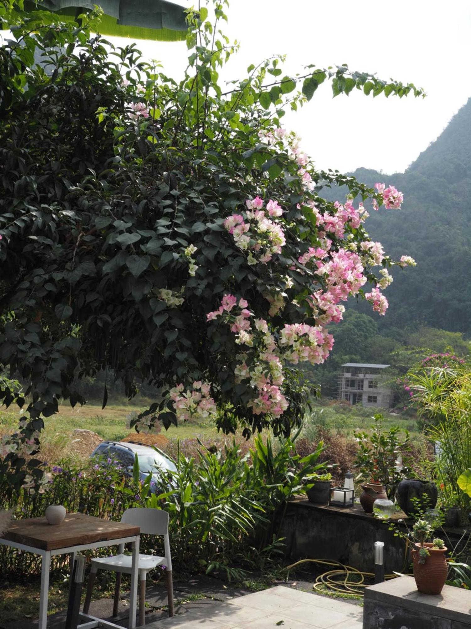 Yangshuo Hillside Homestay Exteriér fotografie