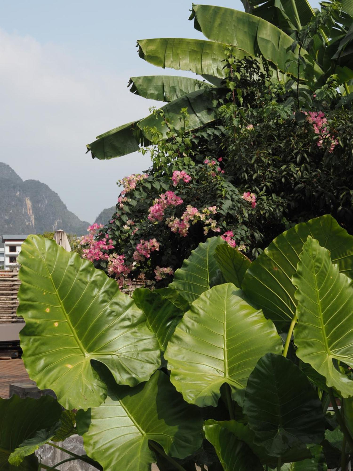 Yangshuo Hillside Homestay Exteriér fotografie