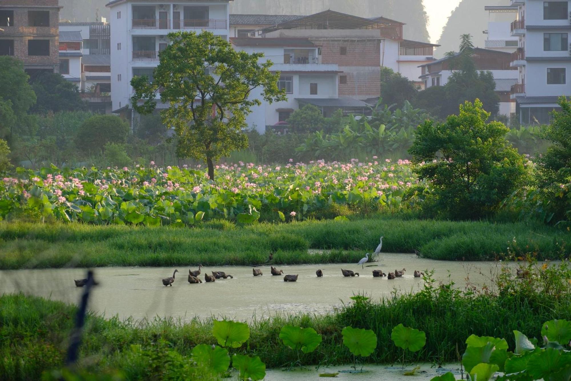 Yangshuo Hillside Homestay Exteriér fotografie