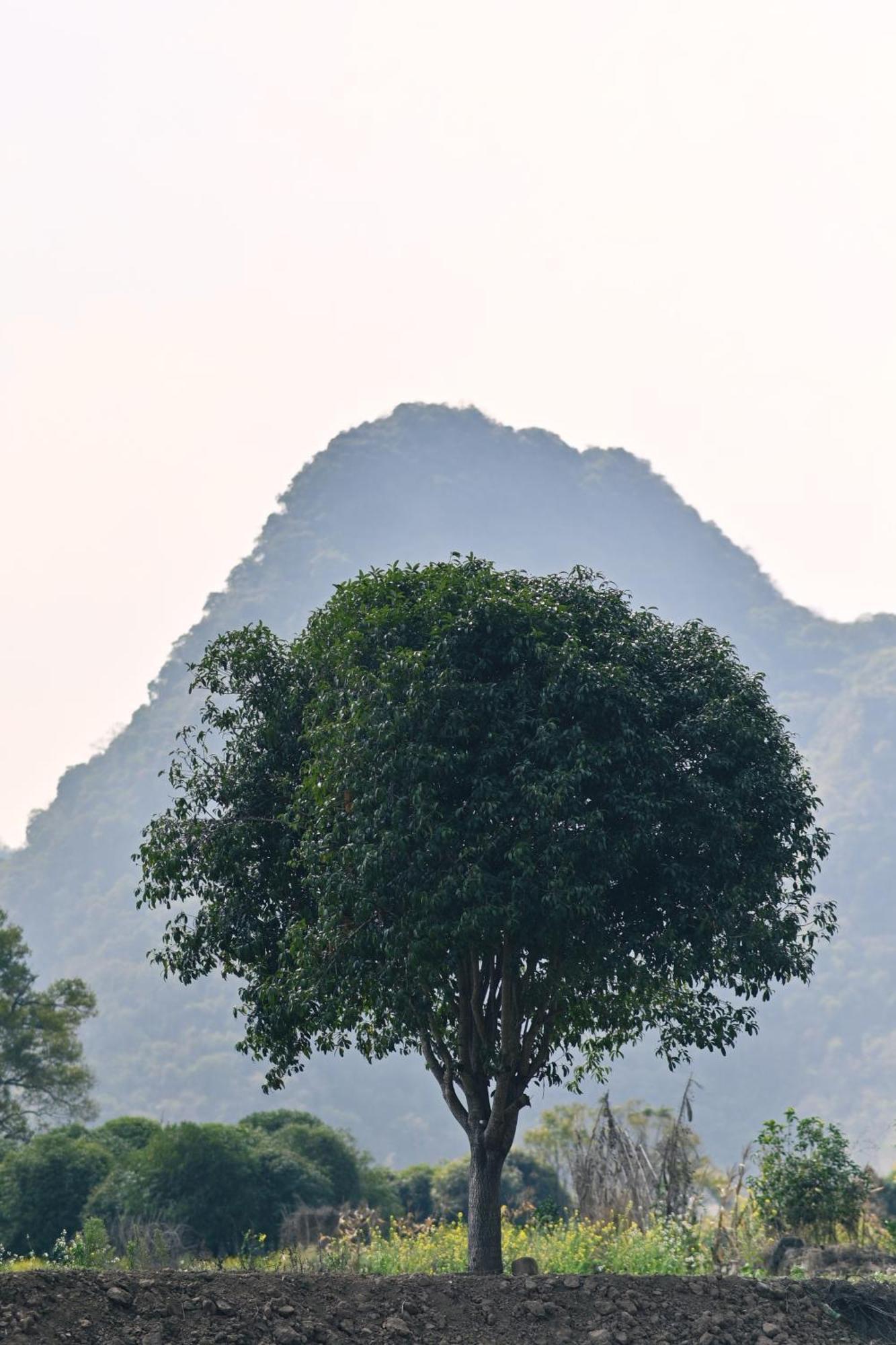 Yangshuo Hillside Homestay Exteriér fotografie