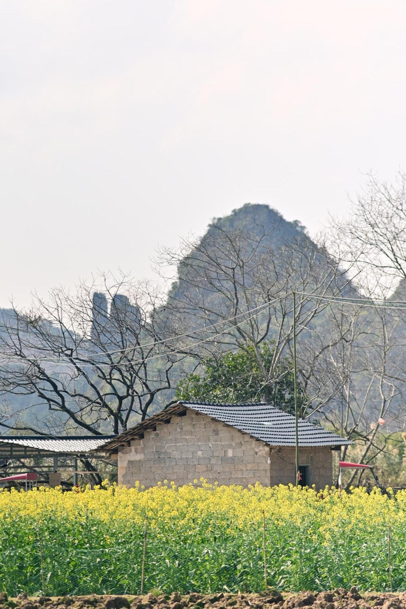 Yangshuo Hillside Homestay Exteriér fotografie
